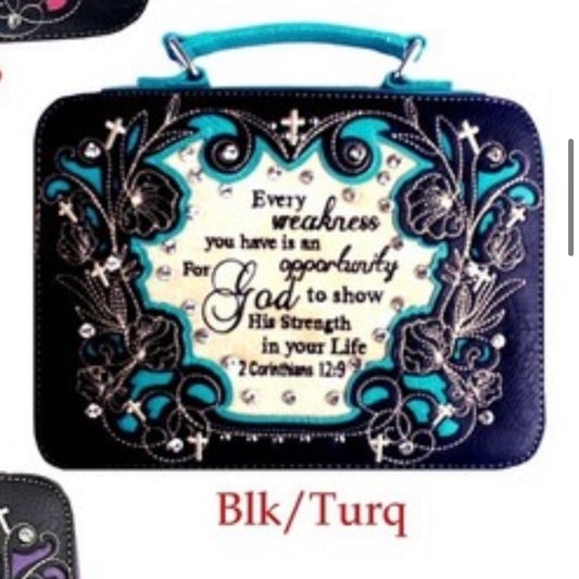 BK/TQ Every weakness bible cover
